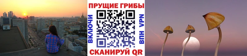 Псилоцибиновые грибы MAGIC MUSHROOMS  Одинцово 