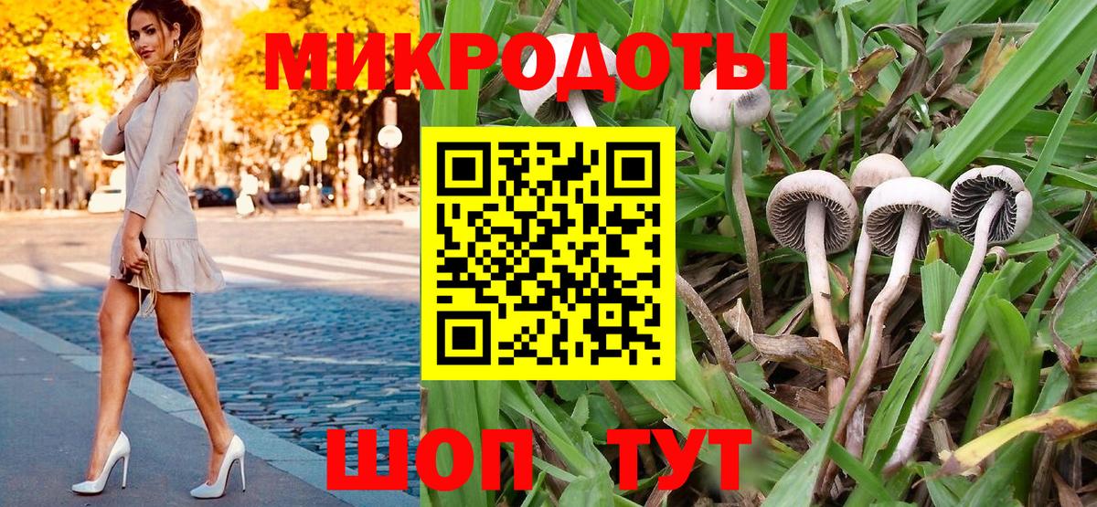 Псилоцибиновые грибы MAGIC MUSHROOMS  Вход с VPN  Одинцово 