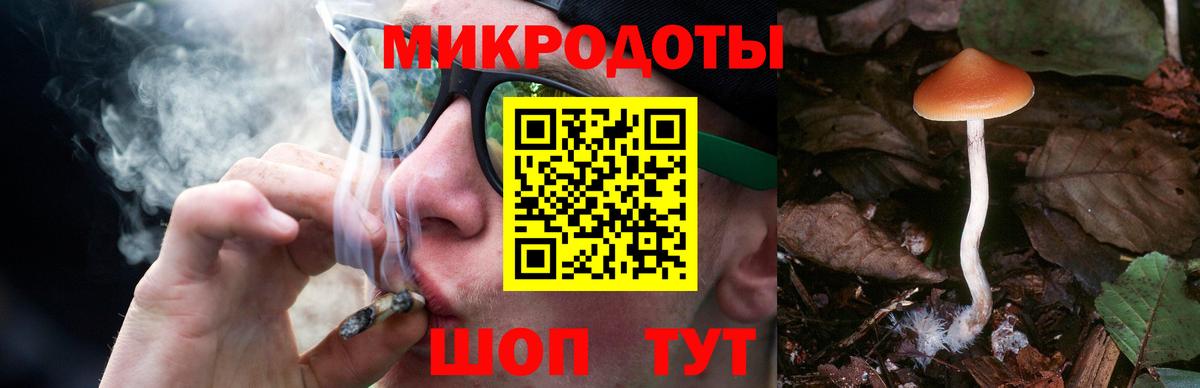 Псилоцибиновые грибы мухоморы Одинцово